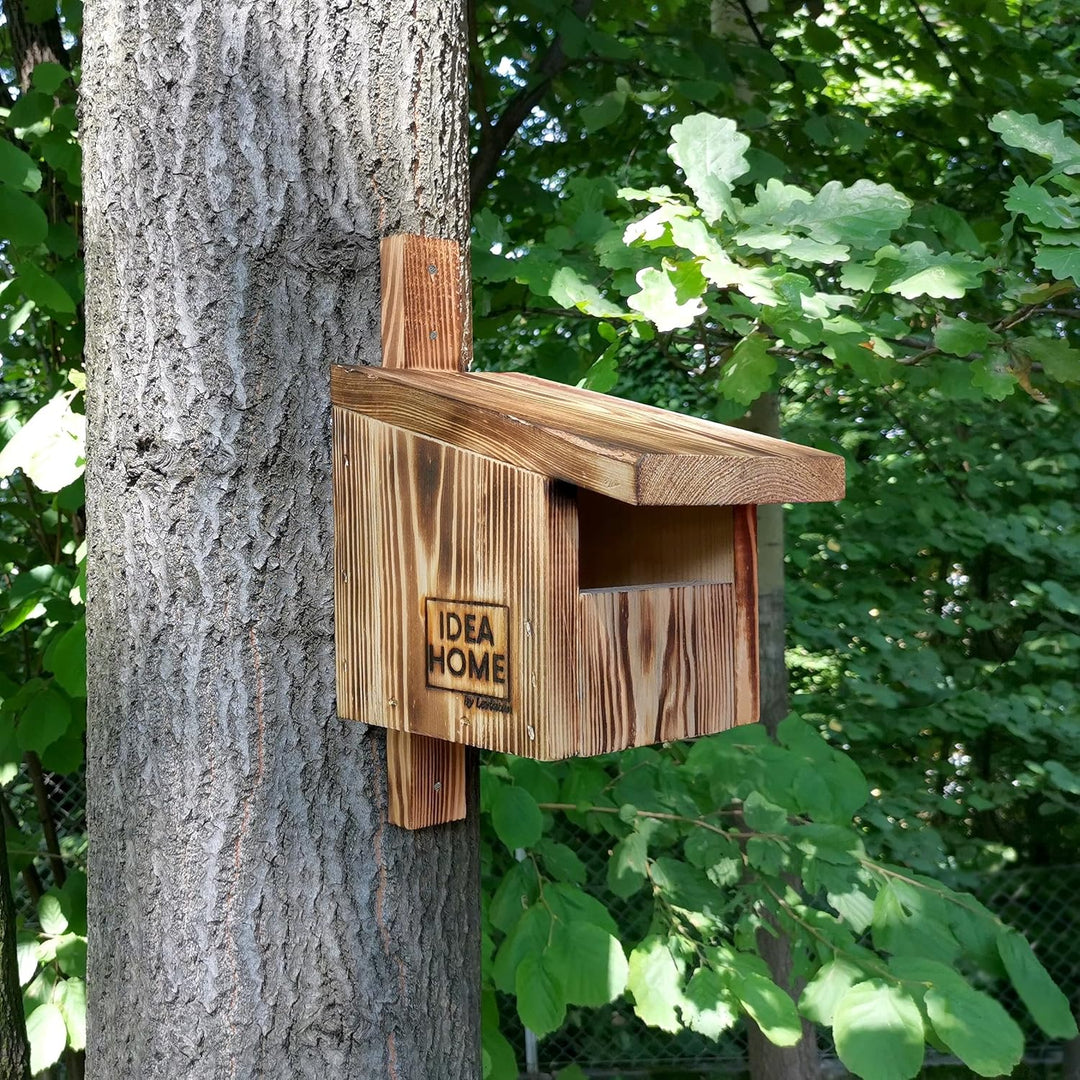 Leviatan IDEA HOME TURDUS Vogel Nistkasten Rotkehlchen, Rotschwänzchen aus Massiv-Holz - Verschraubt