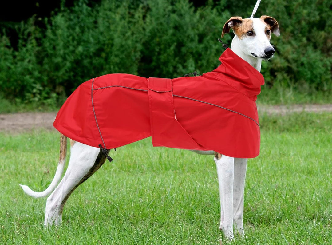 MOREZI Windhund-Regenmantel, regenfest/wasserdicht, hoher Bund mit verstellbarem Kordelzug und Hüftg