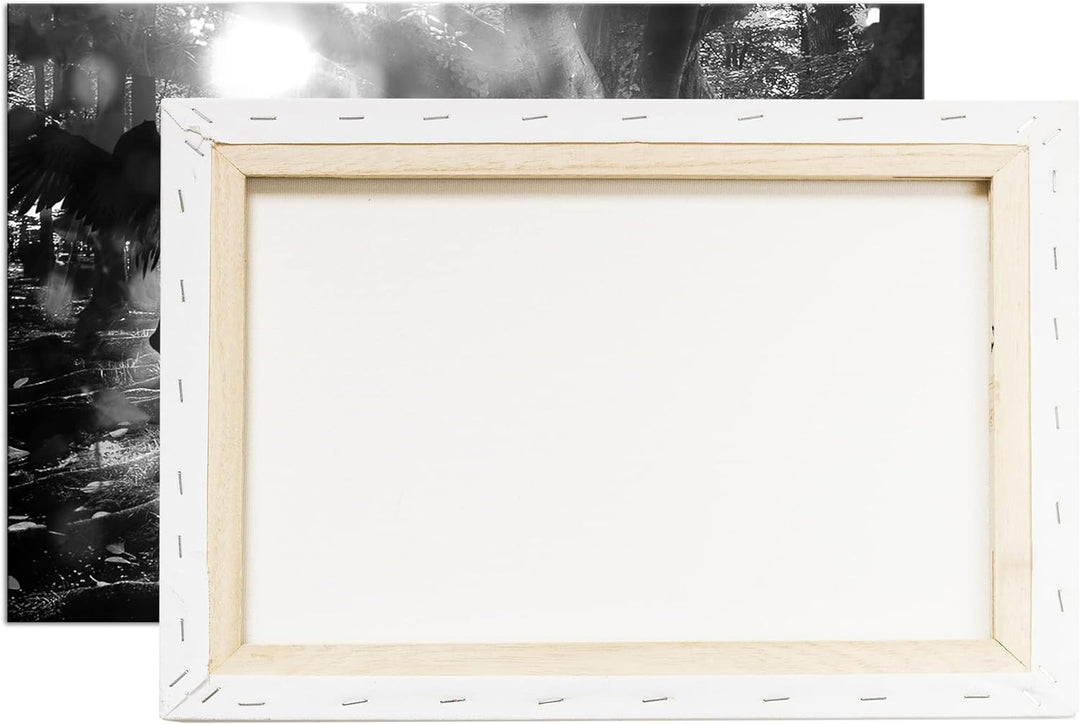 deyoli zauberhaftes Einhorn Format: 80x60 Effekt: Schwarz&Weiss als Leinwandbild, Motiv fertig gerah