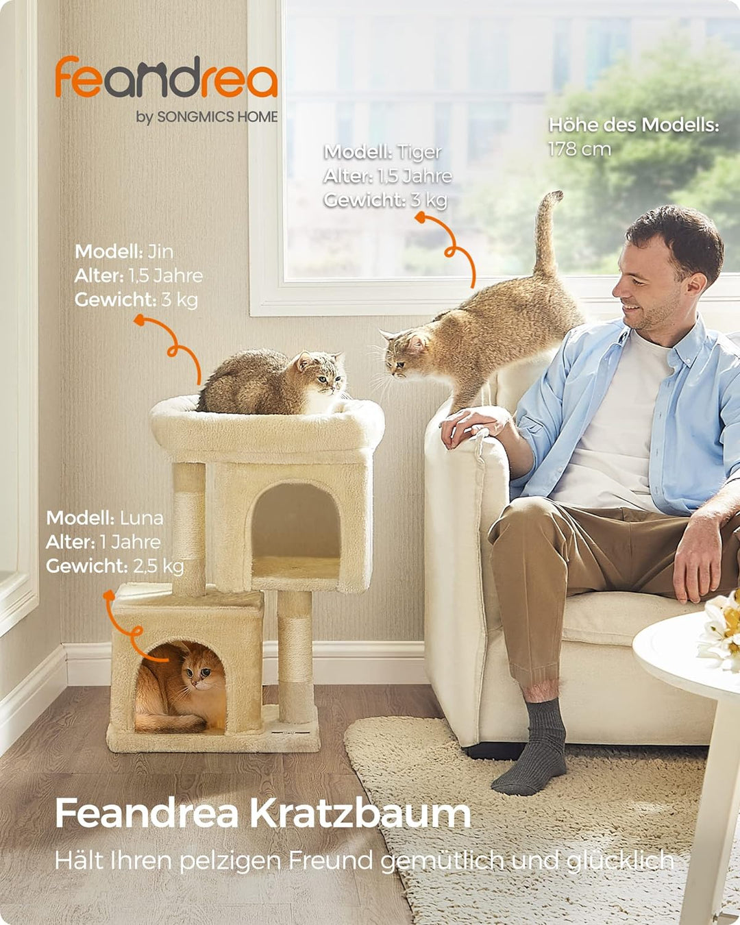 Feandrea Kratzbaum klein, 67 cm Katzenbaum, Katzenhaus für Kätzchen bis zu 3 kg, grosse Plattform, S