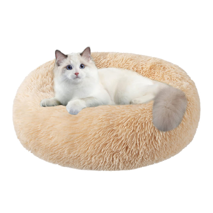 Nisrada Katzenbetten für Indoor-Katzen, 50cm, Hundebett für kleine Melium-grosse Hunde, waschbares,