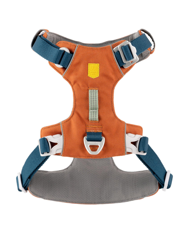 Woolly Wolf Alpha 360 Hundegeschirr für kleine Hunde &amp; Welpen XS Terracotta Mix – Geschirr mit 4-Pun