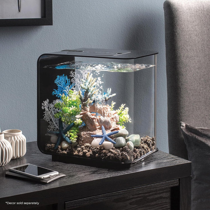 biOrb 72029 FLOW 15 LED, schwarz – elegantes Design-Aquarium | Komplett-Set mit Filter-System, LED-B