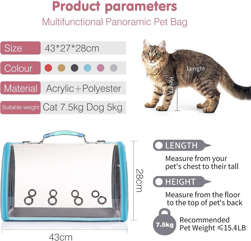 PETCUTE Transporttasche für Hunde & Katzen,Atmungsaktive Transparent Katzentasche Katzentransportbox