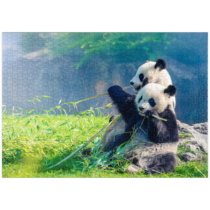 Mutter Panda und Ihr Baby Panda beim Bambus Essen - Premium 1000 Teile Puzzle - MyPuzzle Sonderkolle