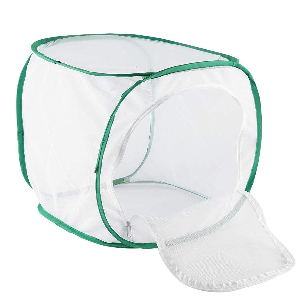 Fdit Grosser Schmetterlingskäfig, zusammenklappbarer Caterpillar Habitat Collapsible und Butterfly H