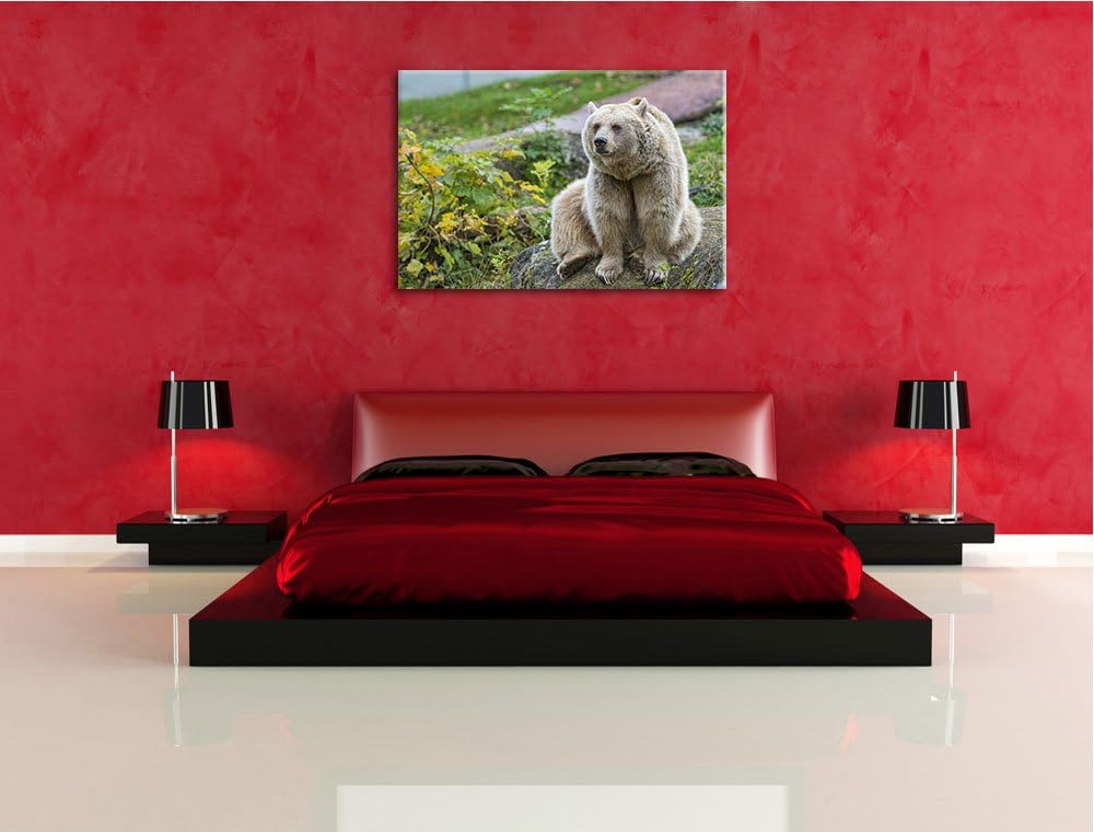 Pixxprint niedlicher Grizzly auf Stein auf Leinwand, XXL riesige Bilder fertig gerahmt mit Keilrahme