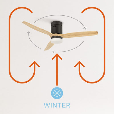 CREATE / WINDCALM/Deckenventilator mit Beleuchtung und Fernbedienung, schwarzer Sockel mit Naturholz