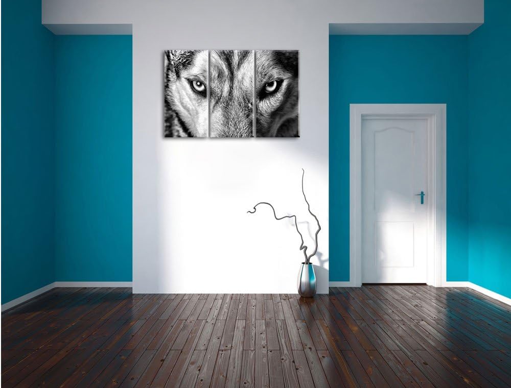 Pixxprint Husky eisblaue Augen als Leinwandbild/Grösse: 3 Teilig (120x80) cm/Wandbild/Kunstdruck/fer