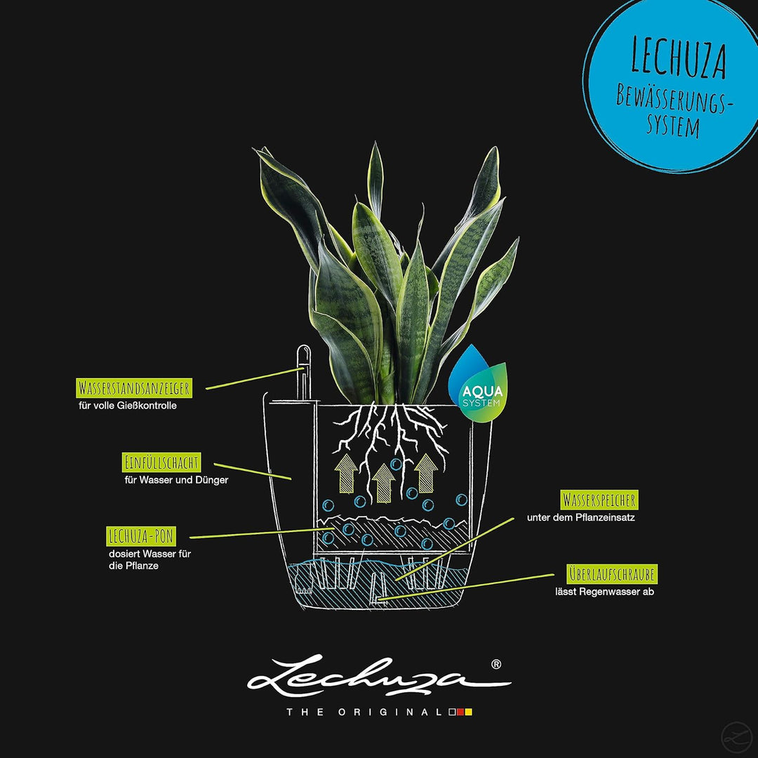 Lechuza 13203 Planter, Muskat, 28.5 x 28.5 x 26 cm 28.5x28.5x26 cm Muskat, 28.5x28.5x26 cm Muskat