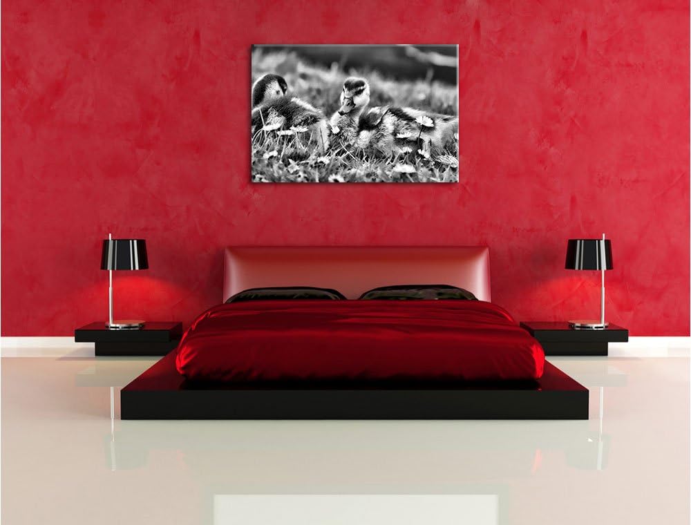 Monocrome, Kühe auf Wiese, Format: 100x70 auf Leinwand, XXL riesige Bilder fertig gerahmt mit Keilra