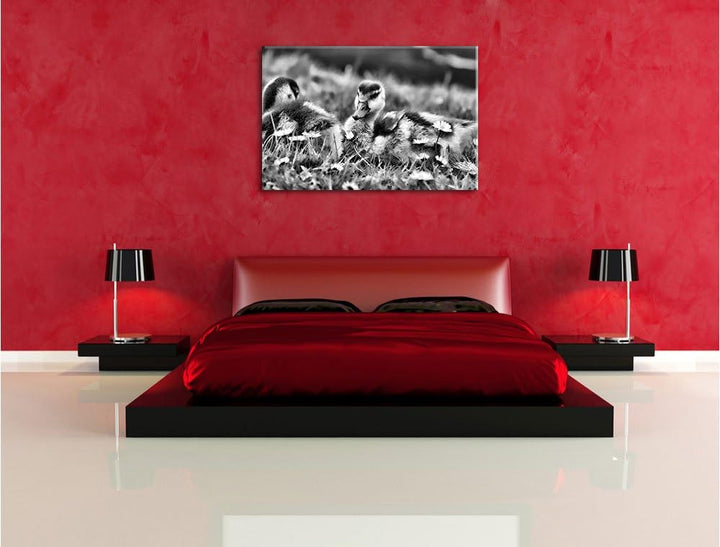 Monocrome, Kühe auf Wiese, Format: 100x70 auf Leinwand, XXL riesige Bilder fertig gerahmt mit Keilra