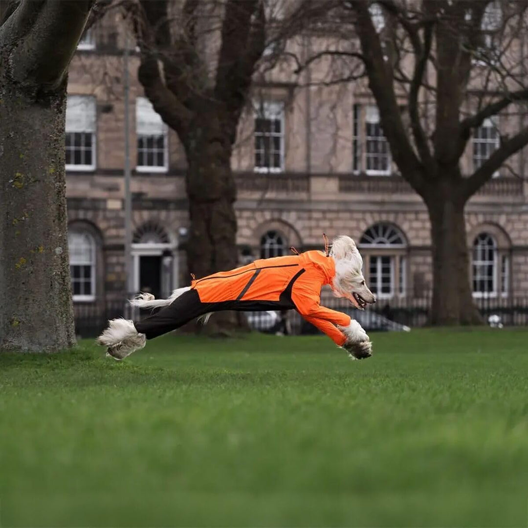 Non-Stop Dogwear Fjord Regenmantel Overall, Reflektierend, Orange-Schwarz, Wasserdichter Hundemantel