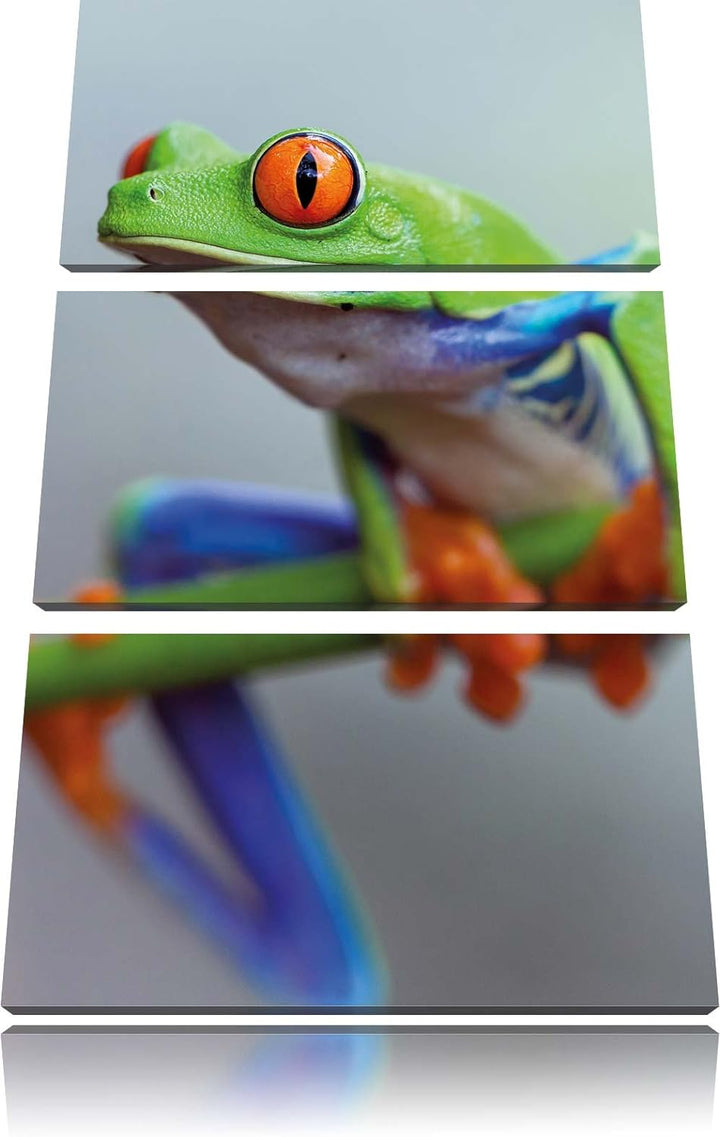 Pixxprint Grüner Frosch auf AST 3-Teiler Leinwandbild 120x80 Bild auf Leinwand