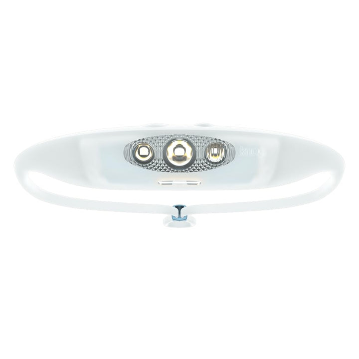 Knog Unisex – Erwachsene Bandicoot Run Stirnlampe, Blau, Einheitsgrösse, Blau
