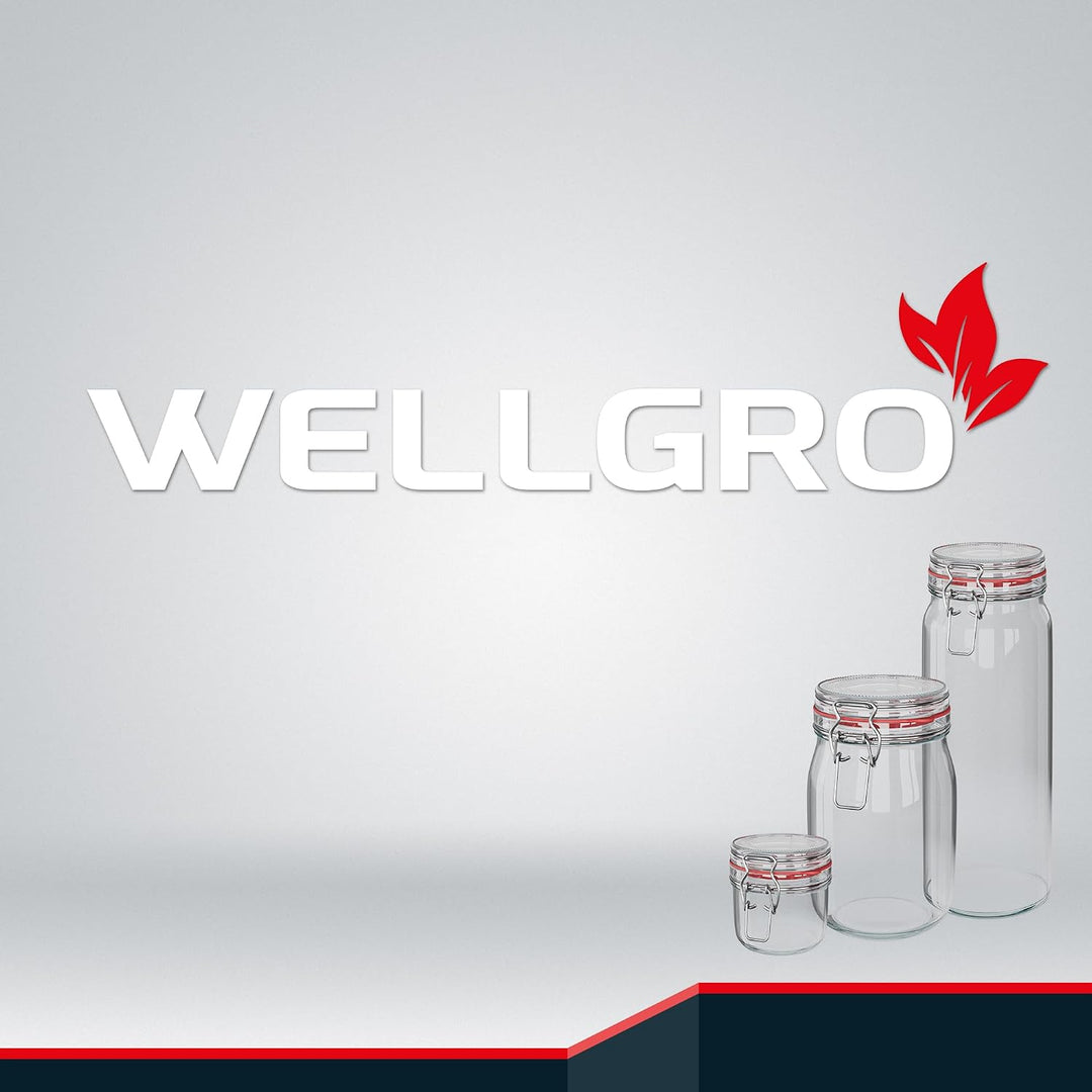 WELLGRO 2x Einmachgläser mit Bügelverschluss rund 4880ml, Fermentierglas, Vorratsgläser mit Deckel -