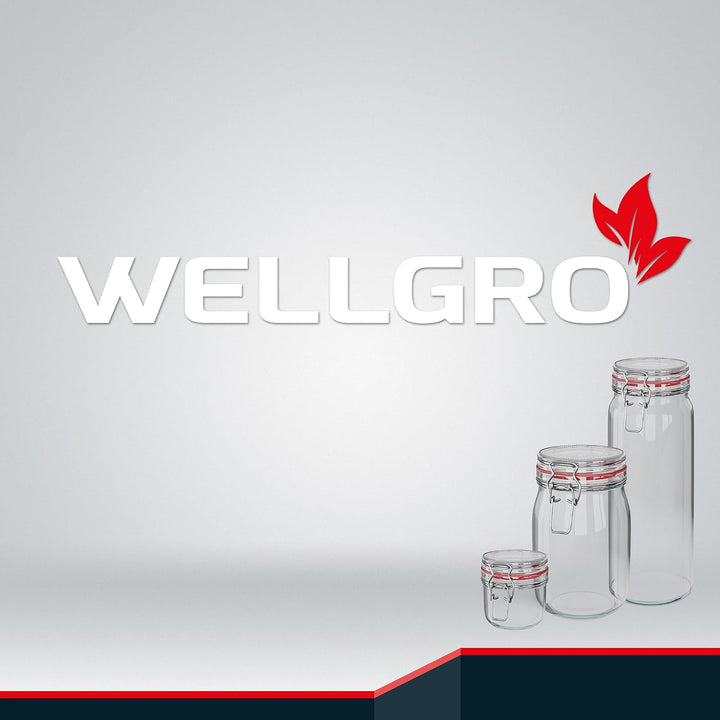 WELLGRO 2x Einmachgläser mit Bügelverschluss rund 4880ml, Fermentierglas, Vorratsgläser mit Deckel -