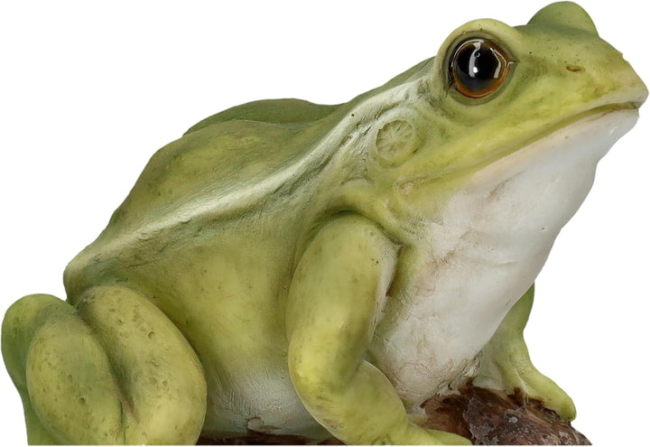 Figuren Shop GmbH Naturgetreue HotAnt Gartenfigur: Frosch auf Stein 11,5 cm - Wetterfeste Gartendeko