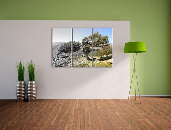 Alter Schiefer Baum in den Bergen schwarz/weiss 3-Teiler Leinwandbild 120x80 Bild auf Leinwand, XXL
