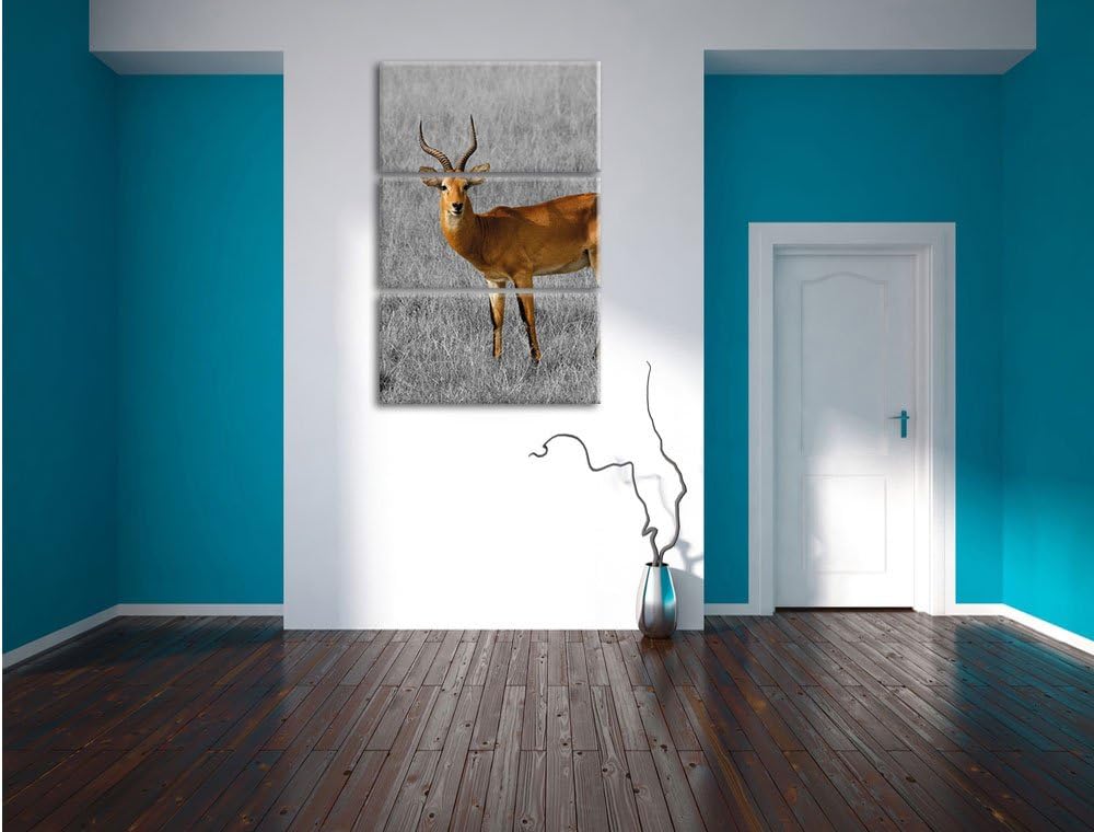 Pixxprint Dorkasgazelle im trockenen Gras als Leinwandbild/Grösse: 3 Teilig (120x80) cm/Wandbild/Kun