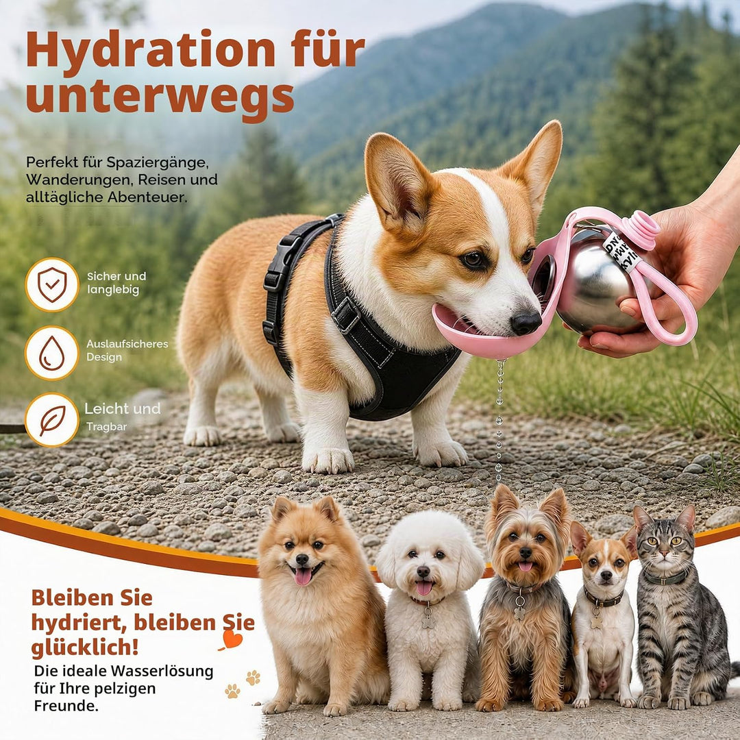 Trinkflasche Hunde für Unterwegs, 2 Stück Hundetrinkflasche für Unterwegs, 285ml Edelstahl Auslaufsi