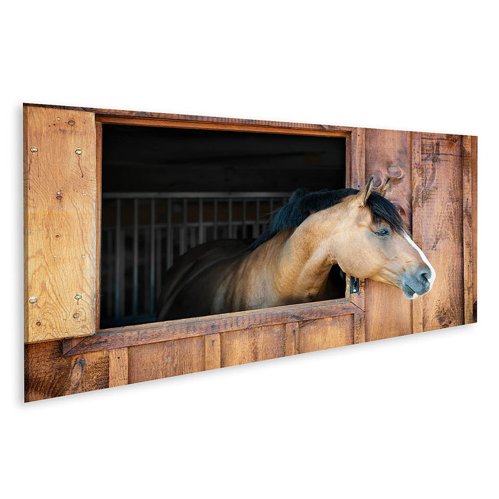 islandburner Bild auf Leinwand Braunes Pferd Schaut Neugierig Aus Fenster Kinderzimmer Bilder Wandbi