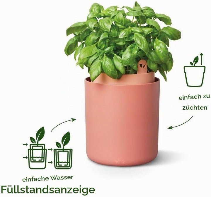 elho Bouncy Basil 16 Blumentopf - Basilikum Topf mit Aussentopf - 100% recyceltes Plastik - Ø 16.5 x