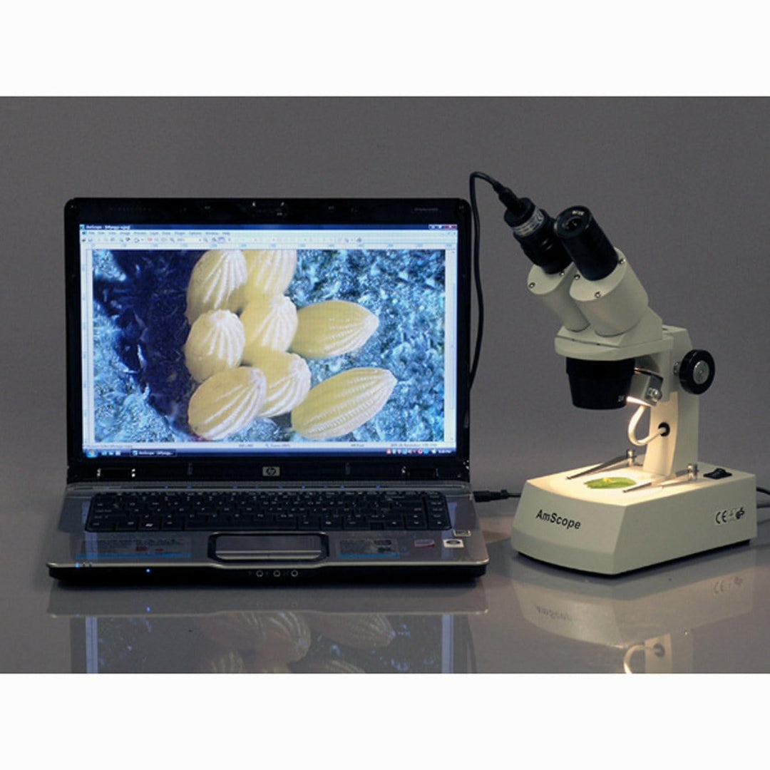 AmScope MD500-CK 5MP USB 2.0 Farb CMOS Digital Okular Mikroskop Kamera mit Kalibrierdia