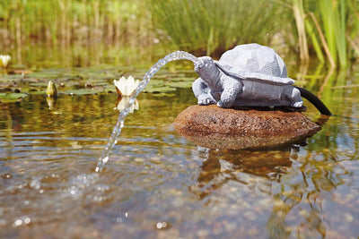 OASE 36778 Wasserspeier Schildkröte | Teichfigur | Dekoration | Wasserstrahl | Sauerstoff |