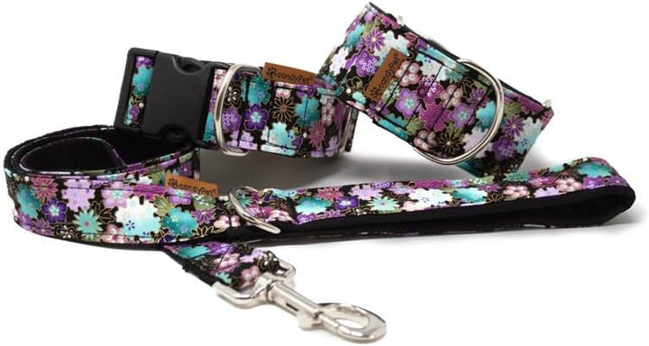 Click Hundehalsband, Liberty Freiheit Ancho 4 cm (30-55cm contorno), Freiheit Ancho 4 cm (30-55cm co