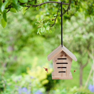 Relaxdays Marienkäferhaus 2X, Marienkäferhotel Garten, zum Aufhängen, Holz unbehandelt, Insektenhote