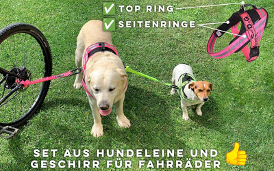 BIKE AND DOG - Hundeleine und Hundegeschirr für das Fahrrad, Geschirr mit 3 Ringen, Davon 2 seitlich