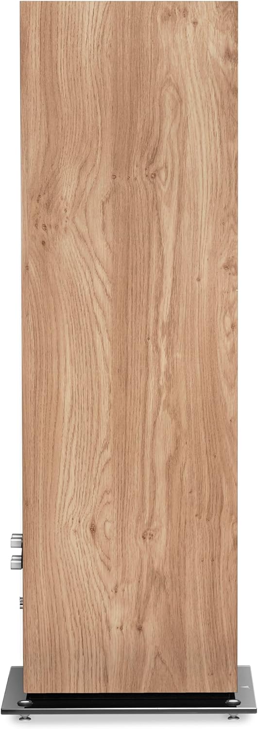 TRIANGLE - Hi-Fi-Standlautsprecher Antal EZ - Belastbarkeit 120 W - Wirkungsgrad 92 dB/W/m - Vielsei