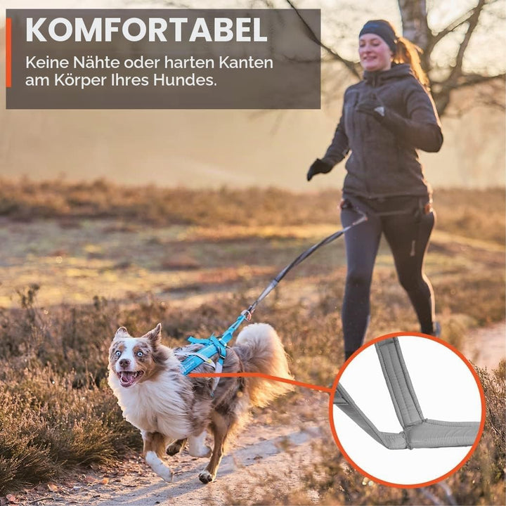 Non-stop dogwear Freemotion Harness 5.0 | Hunde-Geschirr für alle Sportarten, Grösse:Grösse 3 schwar