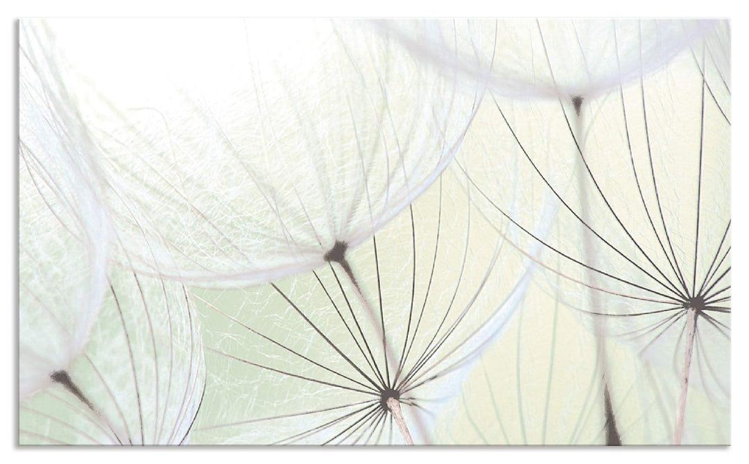 ARTland Spritzschutz Küche aus Alu für Herd Spüle 100x60 cm (BxH) Küchenrückwand mit Motiv Blume Pus