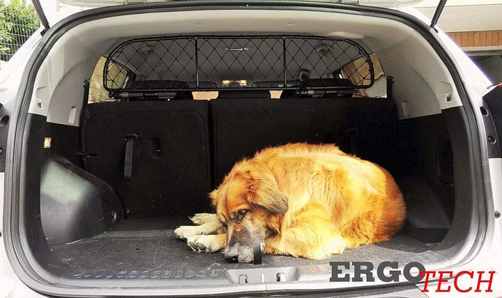 ERGOTECH Trennnetz Trenngitter Hundegitter für KIA Sportage (2016-2021), für Hunde und Gepäck