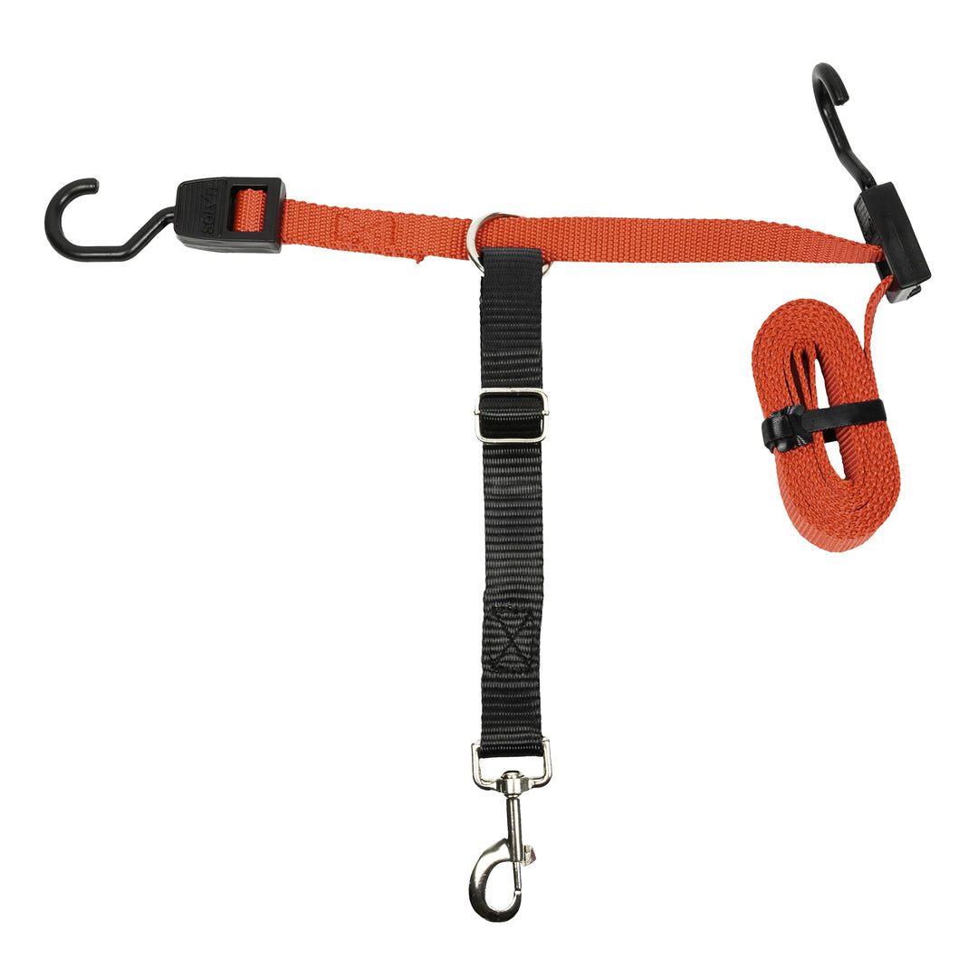 PetSafe Solvit Zipline für Hunde, Rücksitzleine, ideal für Reisen 72 IN, 72 IN
