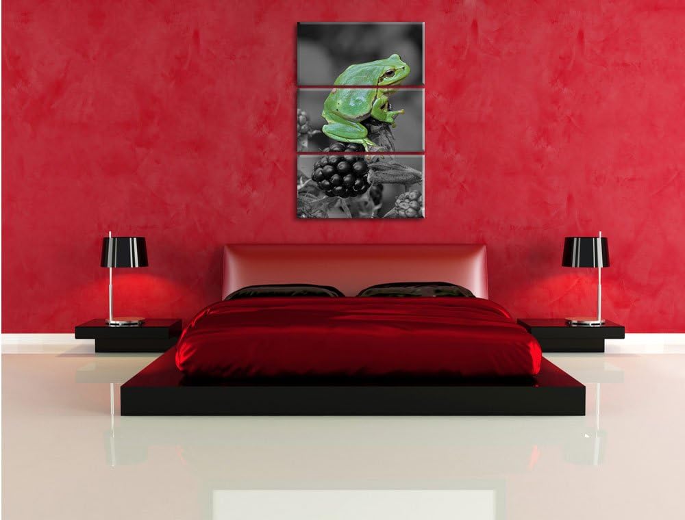 Pixxprint Frosch auf Brombeerstrauch als Leinwandbild/Grösse: 3 Teilig (120x80) cm/Wandbild/Kunstdru