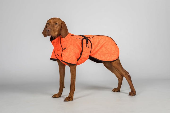 Back on Track Bark Allround Hundemantel orange (55 cm), 55 cm
