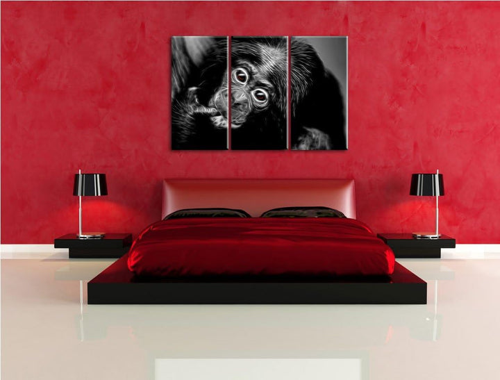 Dark süsses Orang-Utan-Junges schwarz/weiss Deluxe 3-Teiler Leinwandbild 120x80 Bild auf Leinwand, X