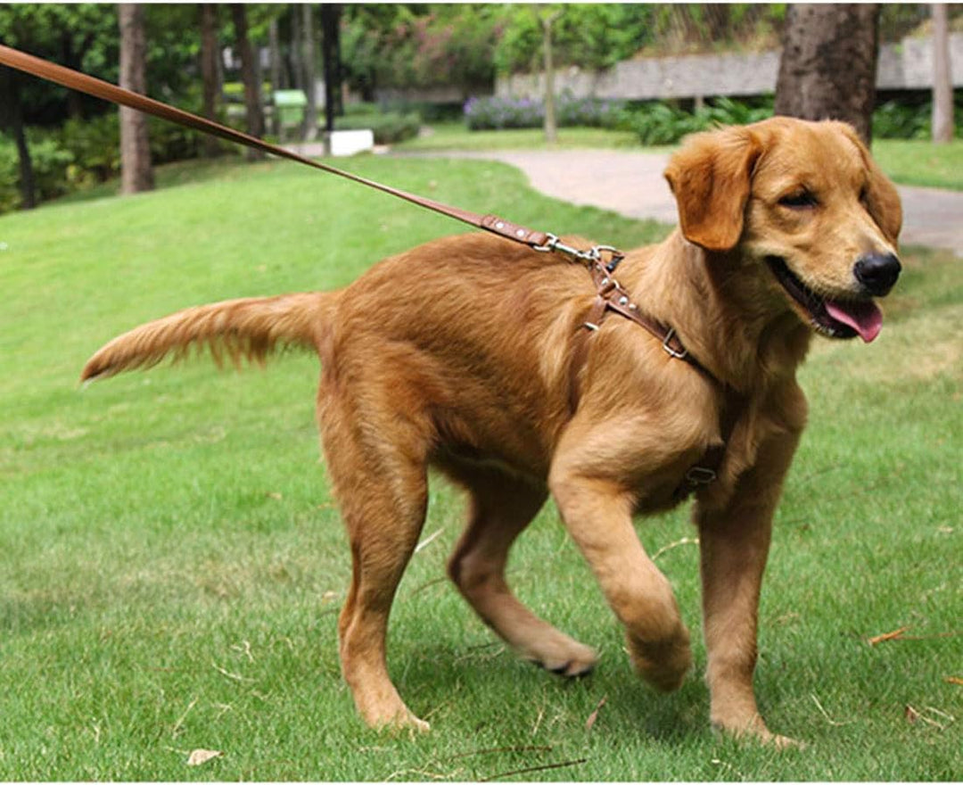 Hundegeschirr Leder Softgeschirr Verstellbare Brustgeschirre Norweger Haustier Ledergeschirr Weichem