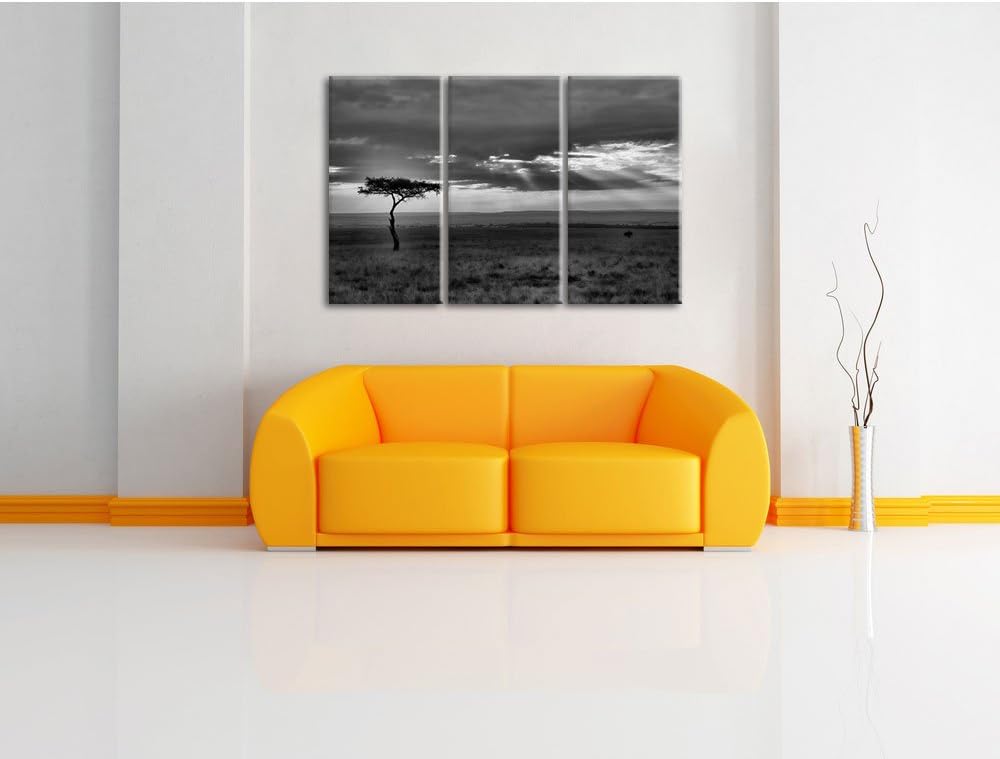 Pixxprint Monocrome, Sonneneinfall in die Savanne 3-Teiler Leinwandbild 120x80 Bild auf Leinwand