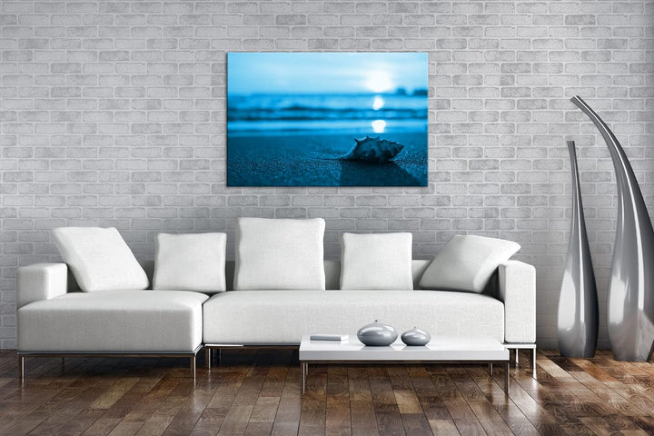 deyoli einzelne Muschel am Strand Format 80x60 Effekt: Monocrome Blau als Leinwandbild, Motiv fertig