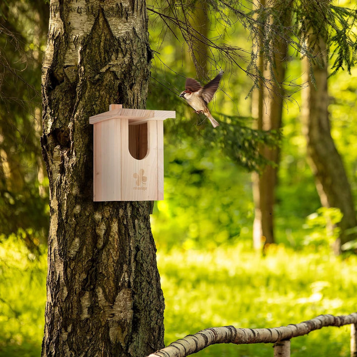 Relaxdays Nistkasten Halbhöhlenbrüter, naturbelassenes Holz, Einflugloch HxB 95x55 mm, Vogelhaus zum
