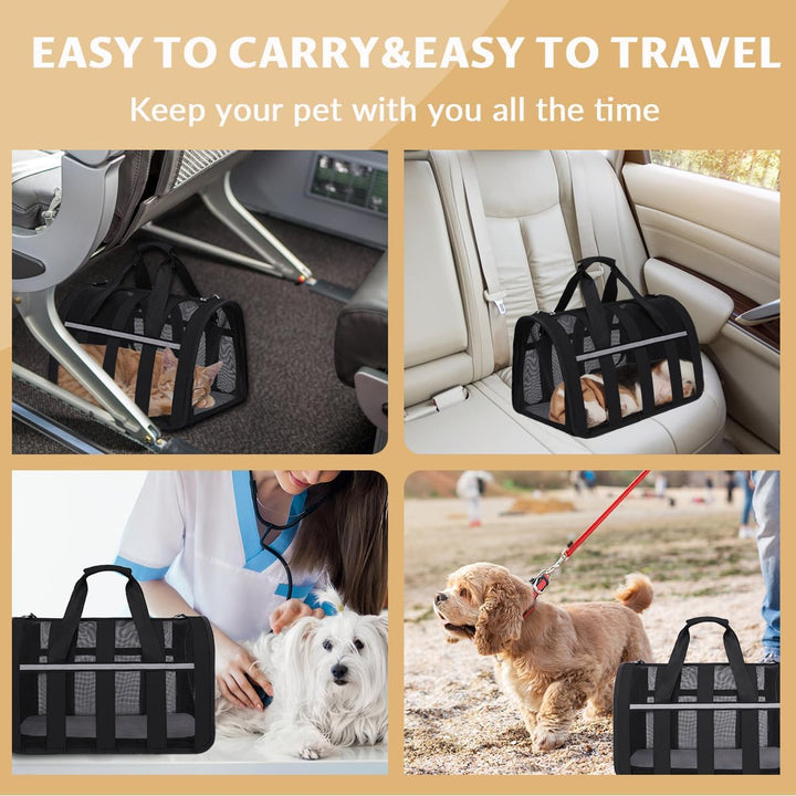 Kransportbox Katze, PC Gitternetz Transportbox Katze Gross, Atmungsaktive Faltbar Katzentransporttas