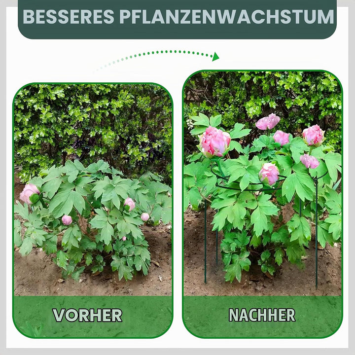 4 Stück Pflanzenstützen Rund,45x60cm Pfingstrosen-Käfige und Stützen mit gekreuzten konzentrischen R