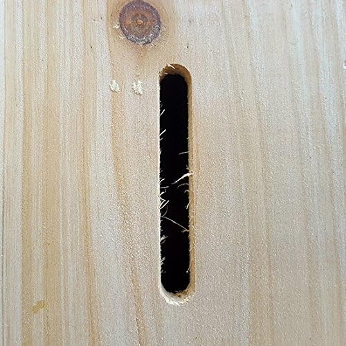 Insektenhotel Cabana - siebenstöckiges Luxushotel für Insekten