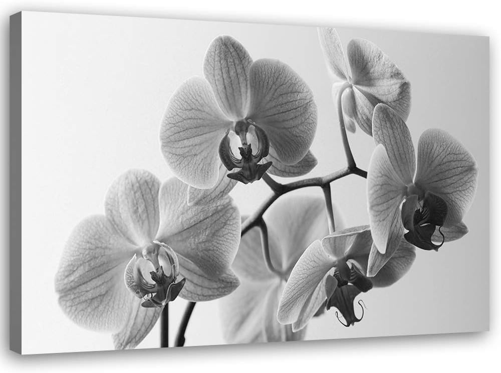 Feeby Bild auf Leinwand Orchideen Kunstdruck modern für Schlafzimmer Grau 80x60 cm Leinwandbild 80x6
