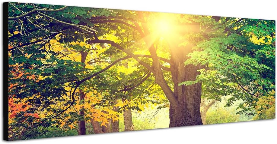 Paul Sinus Art Panoramabild auf Leinwand und Keilrahmen 120x40cm Park Bäume Herbst Blätter Sonnenlic