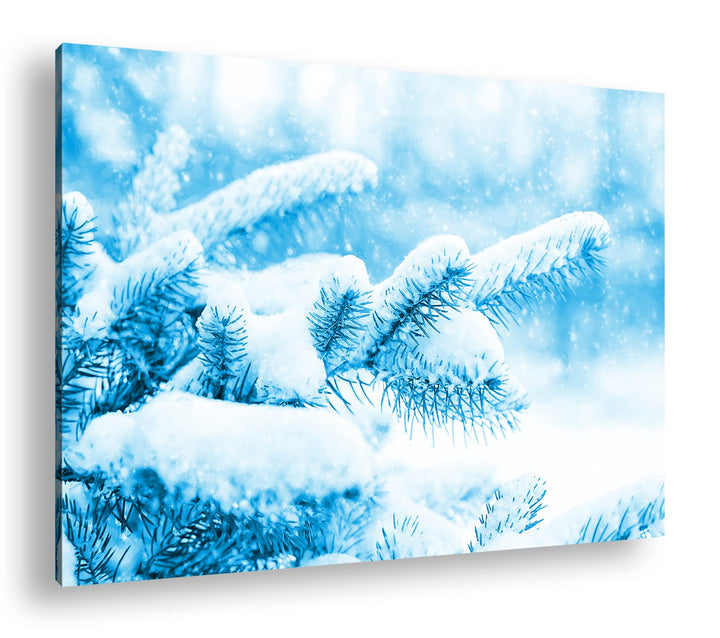 deyoli Kiefernzweige im Winter Format 80x60 Effekt: Monocrome Blau als Leinwandbild, Motiv fertig ge